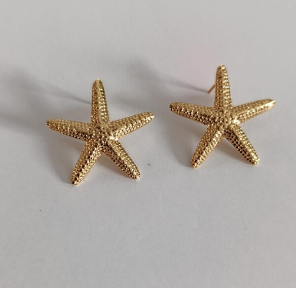 Boucles D'oreilles Etoile de la mère chic