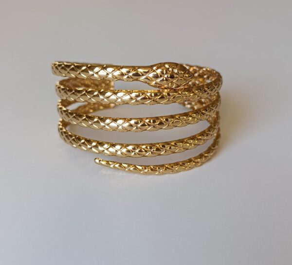 Bracelet Serpent Doubler Très Chic